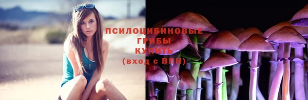 Альфа ПВП Магадан