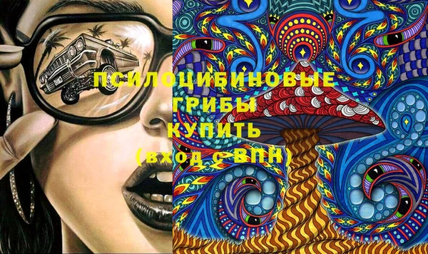 гидропоника Магас