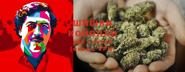 гидропоника Магас